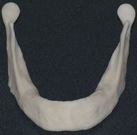 Edward Brant, DDS, MS | Saint James, NY